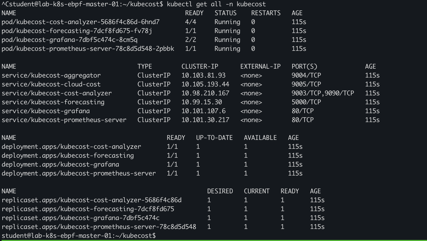 Install Kubecost